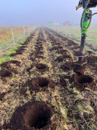 Pflanzvorbereitung Heckenpflanzung | &Ouml;LF - &Ouml;kologischer Land- &amp; Forstbetrieb