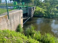 Schwimmsperren ASP- Abwehr | &Ouml;LF - &Ouml;kologischer Land- &amp; Forstbetrieb