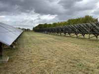 Pflege Solar-Parks | &Ouml;LF - &Ouml;kologischer Land- &amp; Forstbetrieb