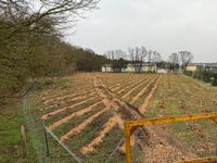 Aufforstungsfl&auml;che | &Ouml;LF - &Ouml;kologischer Land- &amp; Forstbetrieb