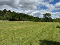 Bew&auml;sserung von Aufforstungsfl&auml;chen | &Ouml;LF - &Ouml;kologischer Land- &amp; Forstbetrieb