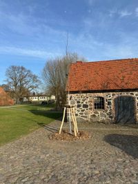 Einzelbaumpflanzung Hohenreinkendorf | &Ouml;LF - &Ouml;kologischer Land- &amp; Forstbetrieb