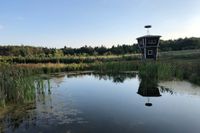 Teichbau | &Ouml;LF - &Ouml;kologischer Land- &amp; Forstbetrieb